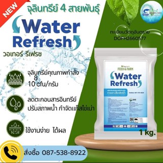 วอลเทอร์รีเฟรช 