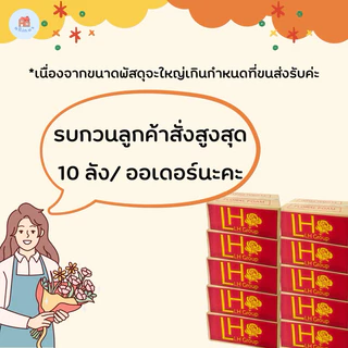 (ยกลัง 20 ก้อน) โอเอซิส โฟมปักดอกไม้ Floral foam ขนาด 23 x 10.5 x 7 เซนติเมตร