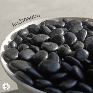 💎Premium Stone หินเกรดพรีเมี่ยม หินกลมดำมน กลมขาวมน หินขาวแก้ว ขาวกระจก หินโรยหน้ากระถาง บรรจุ 500 กรัม / 2 กิโลกรัม💎