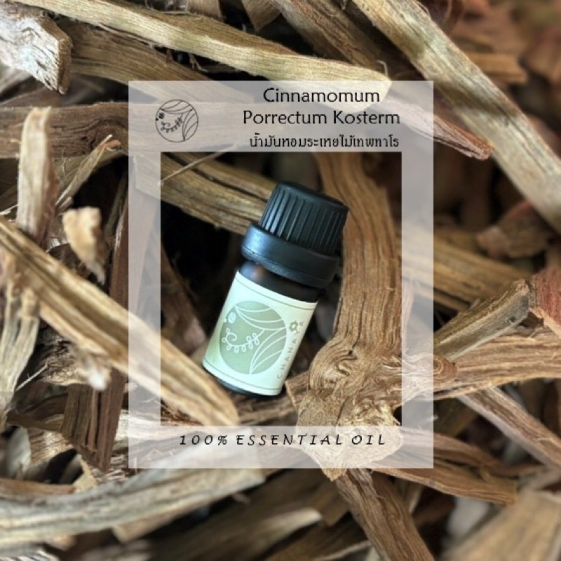 น้ำมันหอมระเหยเทพทาโร ชานาญา CHANAYA Cinamomum 100% Essential oil