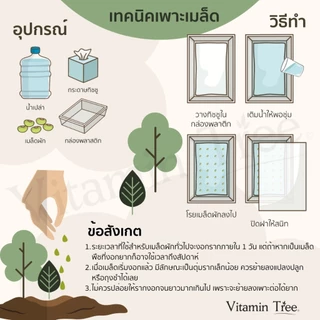 เมล็ดผัก เจียไต๋ 9บาท ผักสวนครัว ผักบุ้ง ผักกาด ต้นหอม มะเขือ กวางตุ้ง กะเพรา โหระพาผักชีแฟงคะน้าแตง
