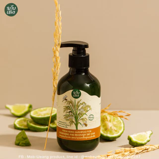 แชมพูสมุนไพรสด สูตรบำรุงและฟื้นฟูผมแห้งเสีย ผมเสีย (FOR NOURISHING AND RECOVERY DRY HAIR)มาบเอื้อง