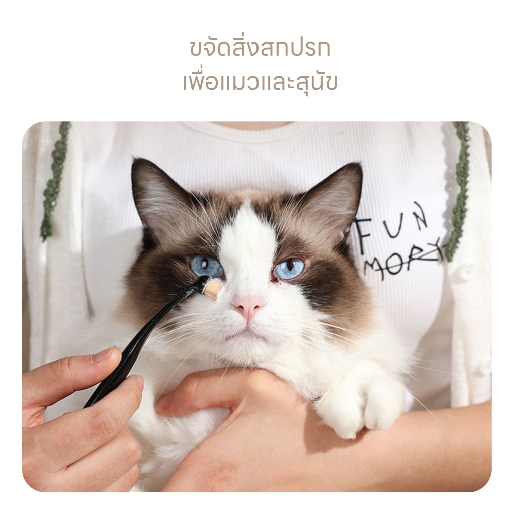 รูปภาพ 7