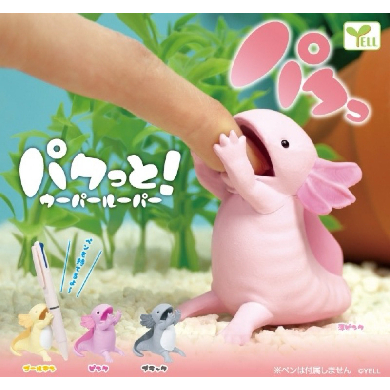 🅟🅕 กาชาปองแอกโซลอเติลแห่งแม็กซิโก Axolotl! Gashapon