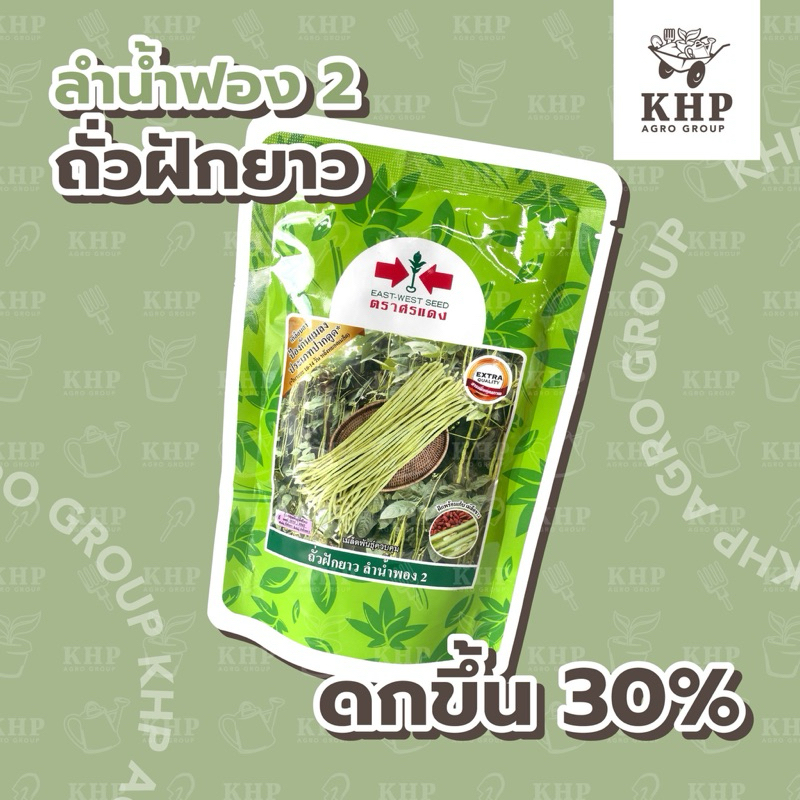 ถั่วฝักยาว ลำน้ำพอง 2 +ขวัญใจชาวอีสาน + หวาน กรอบ อร่อย ติดฝักไว+ เมล็ดพันธุ์ถั่วฝักยาว ดกกว่าเดิม 30% ล็อตใหม่ 100g.