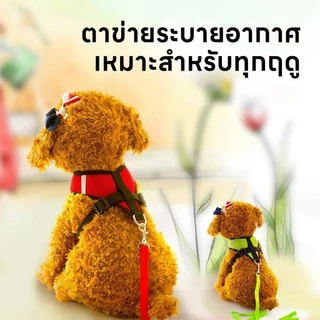 yoyopet : สายจูงสัตว์เลี้ยง หมา แมว สายรัดสัตว์เลี้ยง ชุดเสื้อตาข่ายพร้อมสายจูง มีหลายขนาดให้เลือก