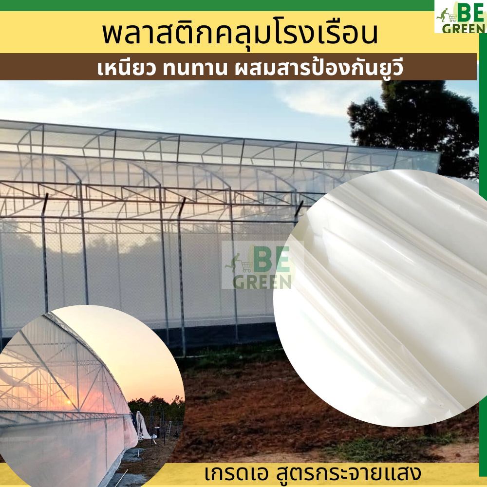 พลาสติกโรงเรือน 200ไมครอน 4x100เมตร UV7% ยกม้วน พลาสติกใสคลุมโรงเรือน ผ้ายางใสกันฝน Greenhouse กระจา