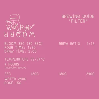 Wonderroom - เมล็ดกาแฟคั่วอ่อน El Salvador El Carmen (Anaerobic N.) (Light Roast)