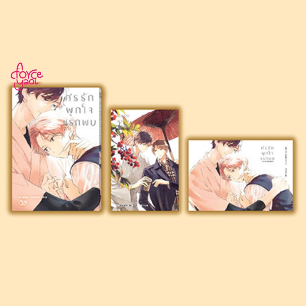 ศรรักผูกใจแรกพบ เล่มเดียวจบ