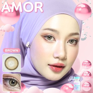 🔥 คอนแทคเลนส์ ✨ขนาดบิ๊กอาย ✨ Amor (Shinee)