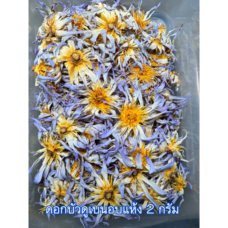 Blue Lotus Flower Organic ดอกบัวดูเบนยานาแท้อบแห้ง 2g Dauben