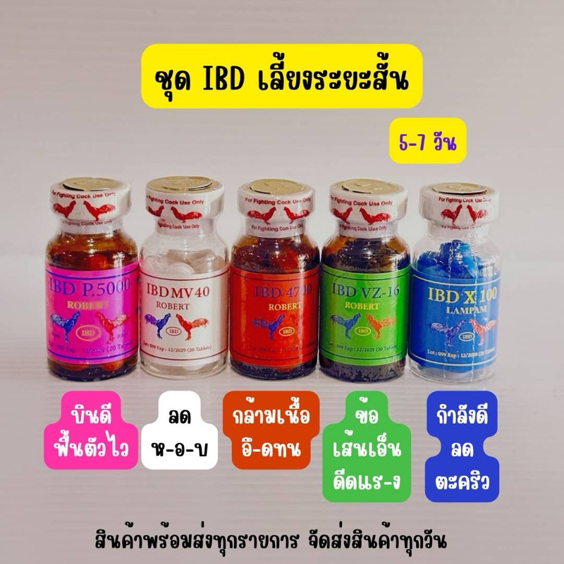 ลำปำ…อาหารสัตว์ปีกP5000/4700/VZ16/MV40/X100