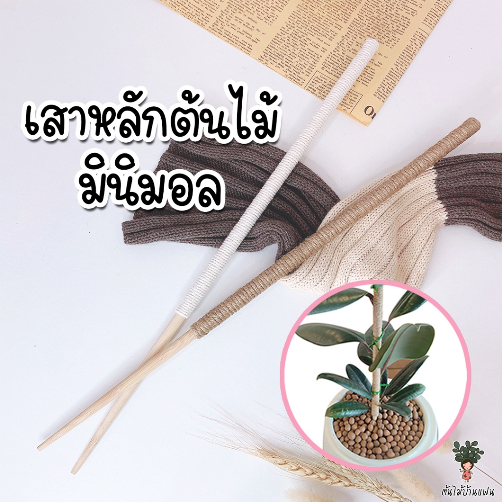 ไม้หลัก เสาไม้ค้ำต้นไม้ สไตล์มินิมอล บอนสี พลูด่าง ต้นไม้อื่นๆ (ความยาว 45 ซม.)