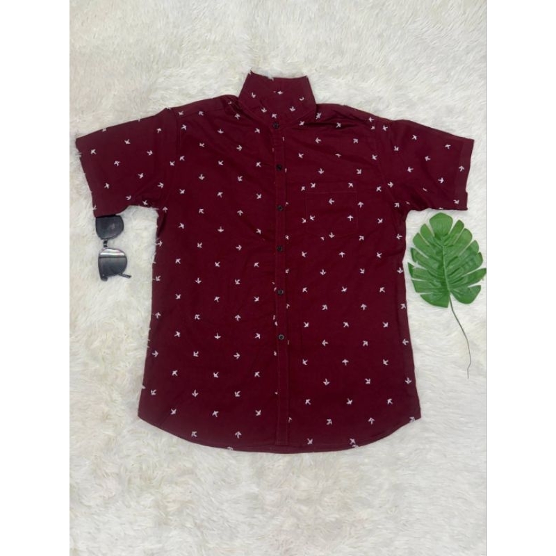 เสื้อเชิ้ตแขนสั้นพิมพ์ลาย นกนางแอ่น - รูปที่ 5