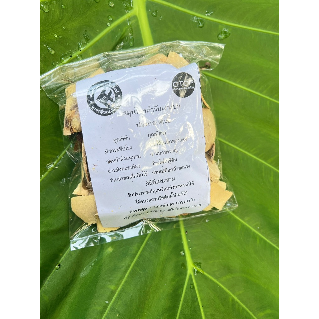 สมุนไพรตำรับเงาะป่า ต้มดอง