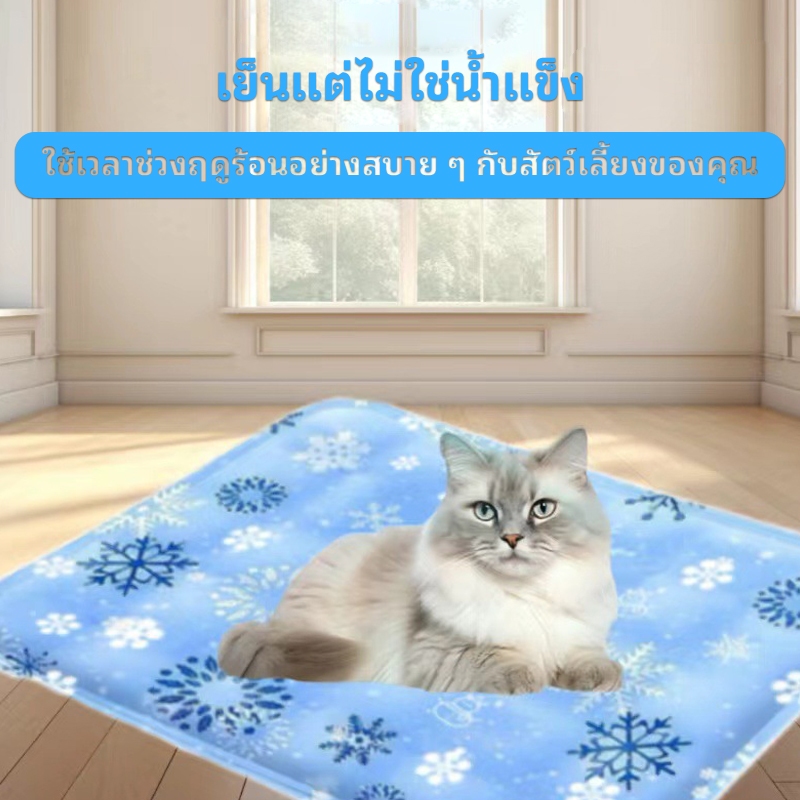 ที่นอนทำความเย็นสำหรับสัตว์เลี้ยง ที่นอนแผ่นเจลทำความเย็น ที่นอนทำความเย็นสำหรับแมว ที่นอนทำความเย็นสำหรับสุนัข ที่นอนแ