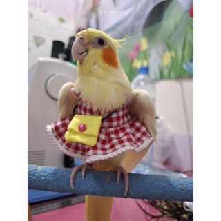 ชุดนกแก้วผู้หญิงลายสก๊อตมีกระเป๋า แจ้งสายพันธุ์นกด้วยนะคะ