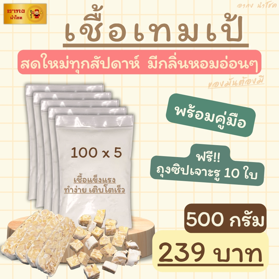 เชื้อเทมเป้ 500 กรัม หัวเชื้อเทมเป้ ผงเชื้อเทมเป้ เทมเป้ เชื้อผลิตใหม่ทุกสัปดาห์ มีกลิ่นหอมอ่อนๆ เชื้อมีความแข็งแรง