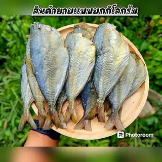 อาหารทะเลแปรรูป "ปลาสีกุน " น้ำหนัก 1 กิโลกรัม และ 500 กรัม สินค้าไม่พร้อมทาน สินค้าขายดีมาก มีส่งแบบเก็บเงินปลายทาง