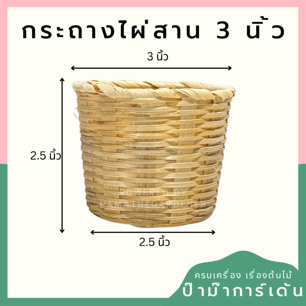 มุมมอง 2