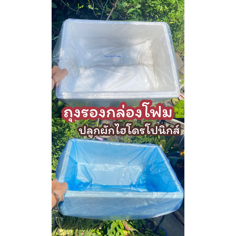 ถุงรองผักไฮโดร ถุงปลูกผัก ถุงใส่ผักเเพ็คเเพ็คใส่กล่องโฟม รุ่นเน้นจำนวนใบ ส่งจากโรงงานผลิตเอง พร้อมส่ง