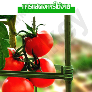 🍃เหล็กเคลือบพลาส🍃 ไม้ค้ำต้นไม้ หนาหนา11มม. DIY เสาไม้เลื้อย โครงปลูกผัก เหล็กเคลือบพลาส ซุ้มไม้เลื้อย ยาว90-180ซม.