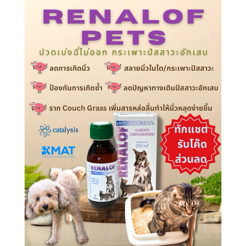 ของแท้ ส่งฟรี ทักแชทรับส่วนลด Renalof Pets วิตามินเสริมอาหารบำรุงทางเดินปัสสาวะ สลายนิ่ว ลดการกลับมา