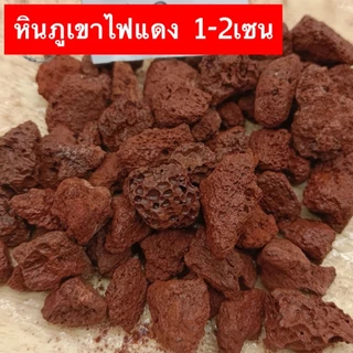 หินภูเขาไฟลาวา หินลาวาแดง หินลาวาแดง (Lava Stone) | ผสมดินปลูก โรยหน้ากระถาง ใส่บ่อปลา