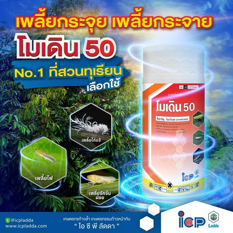 โมเดิน 50 โอเมโทเอต ป้องกันและกำจัดเพลี้ยจักจั่นฝอย เพลี้ยไก่แจ้ เพลี้ยไฟ และไร
