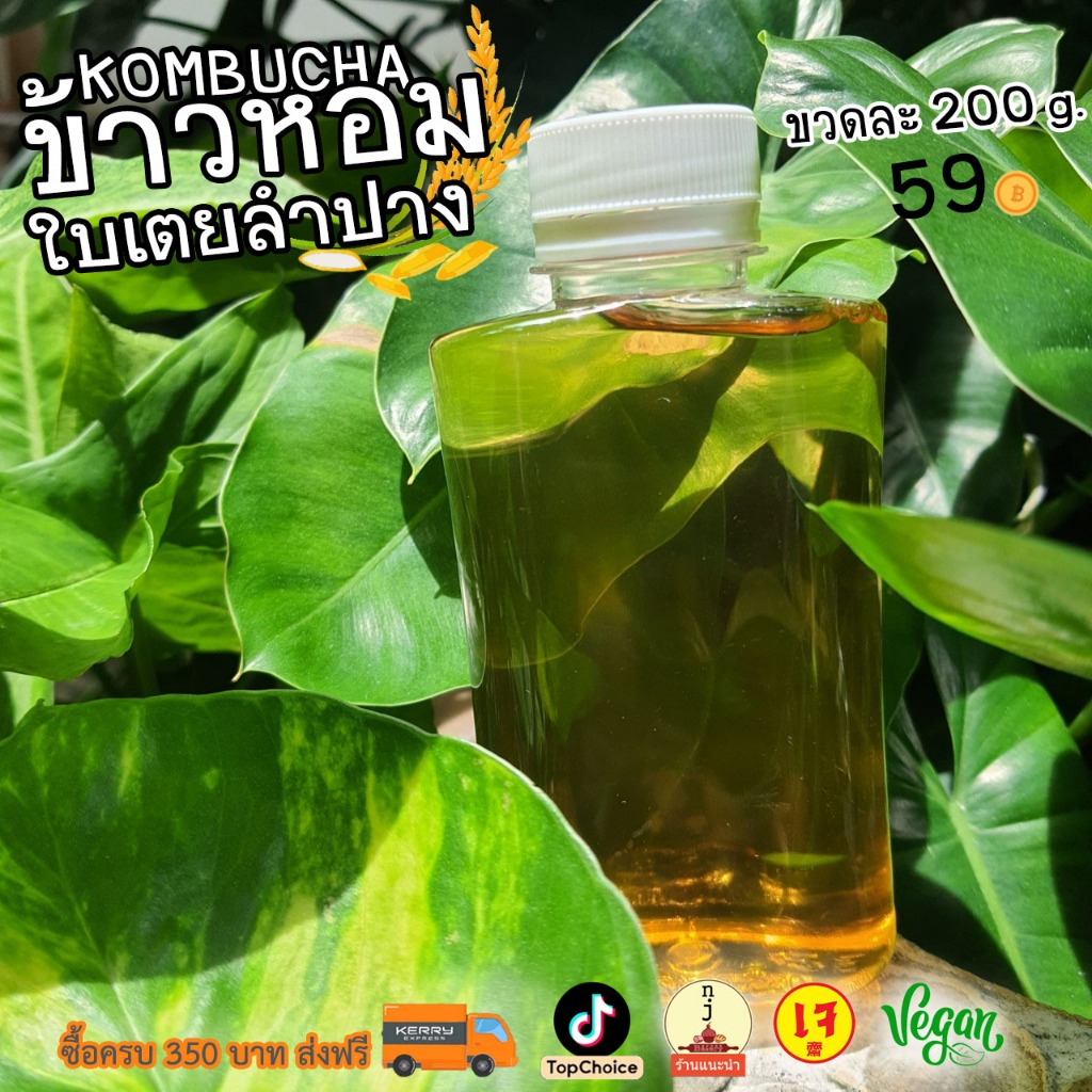 ไลฟ์ลด 30%ชาหมักคอมบูชา KOMBUCHA จากข้าวหอมใบเตยคีโต เบาหวานทานได้