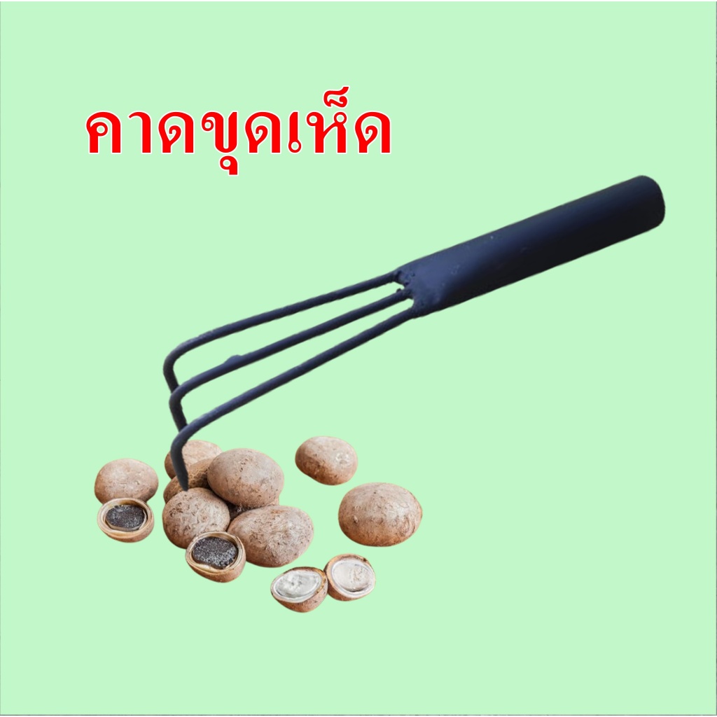 จัดสวน คราดขูดหาเห็ดมือลิงคราดมือ3คุุ้ยดิน ขูดเห็ดเผาะ หาของป่า กวาดหญ้า เหล็กขูดด้ามเหล็ก ด้ามสั้น