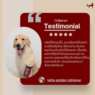 Fellower ครีมทาอุ้งเท้าสุนัข 3in1 ดูแลอุ้งเท้าแดง คัน เลียเท้า ยีสต์ ซึมไว ไม่เหนียว ปลอดภัยเลียได้ Paw Cream 50ml