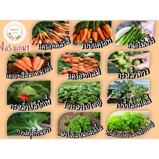 เมล็ดพันธุ์ชุดรวมขายดี ซองเล็กราคา 9 บาท ซื้อ 5 แถม 1 ปลูกง่าย โตไว อัตราการงอกสูง
