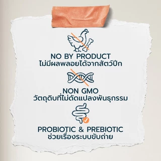Buzz Beyond Cat 🐈 อาหารแมวบัซซ์ Premium Cat Food Gluten Free 7 กิโลกรัม