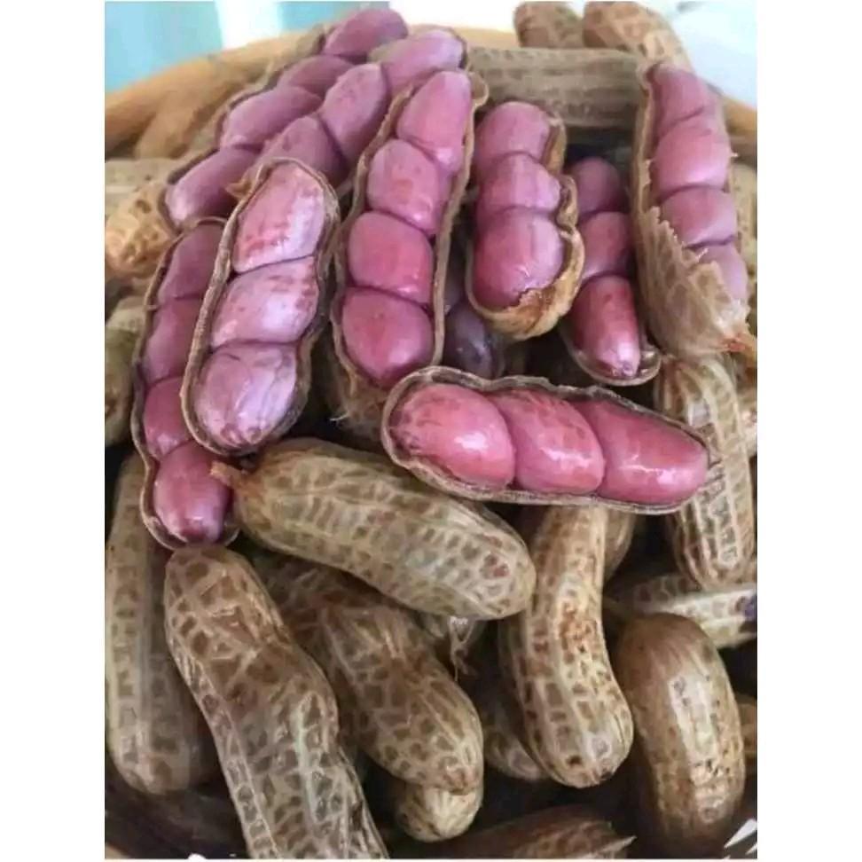 ถั่วลิสงดิบ แห้งสดๆ ใช้ทำเมล็ดพันธุ์ได้ ออแกนิค