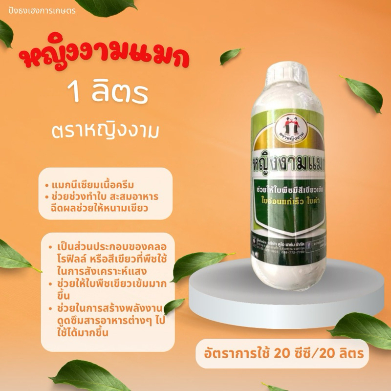 หญิงงามแมก ตราหญิงงาม ขนาด 1 ลิตร ใบเขียวเข้ม ใบอ่อนแก่เร็ว ใบดำ MgO 30% W/V