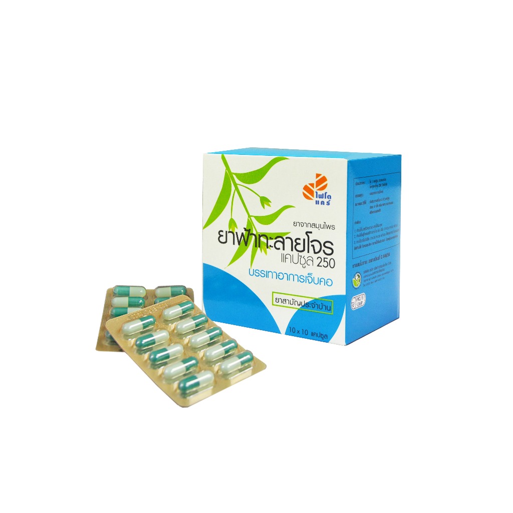 (ส่งไว) ฟ้าทะลายโจร แคปซูล 350mg. Phyto Care แผงละ 10 แคปซูล ไฟโตแคร์ GPO ฟ้าทะลายโจรองค์การเภสัชกรรม Phytocare