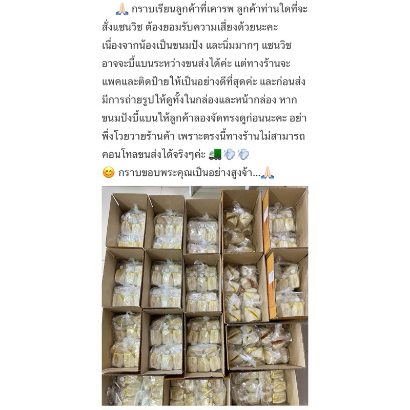 รูปภาพ 9