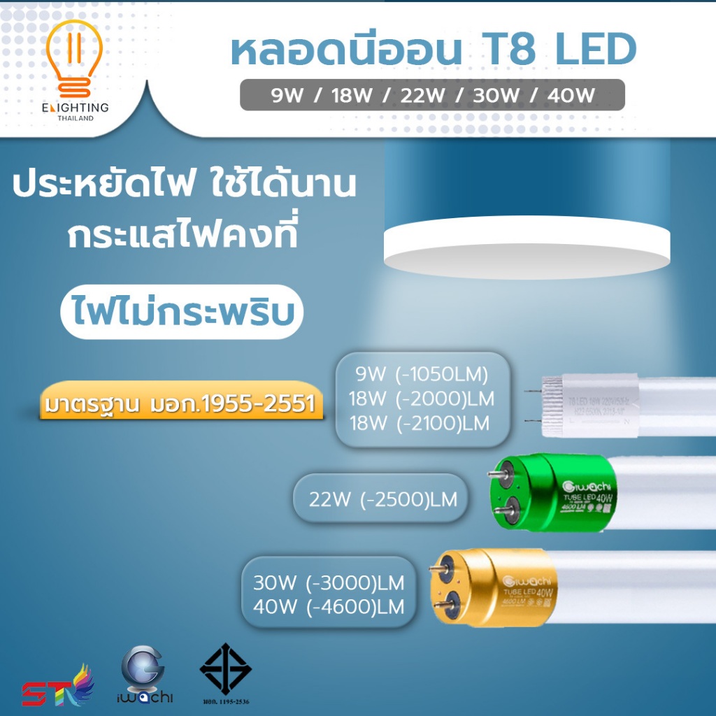 [Elighting] พร้อมส่ง หลอดไฟนีออนLED T8 9/18/22/30/40W ชุดหลอดไฟ  ชุดเซ็ทหลอดนีออน (ขาบิดล็อค) ขั้วสีเขียว ขั้วสีทอง