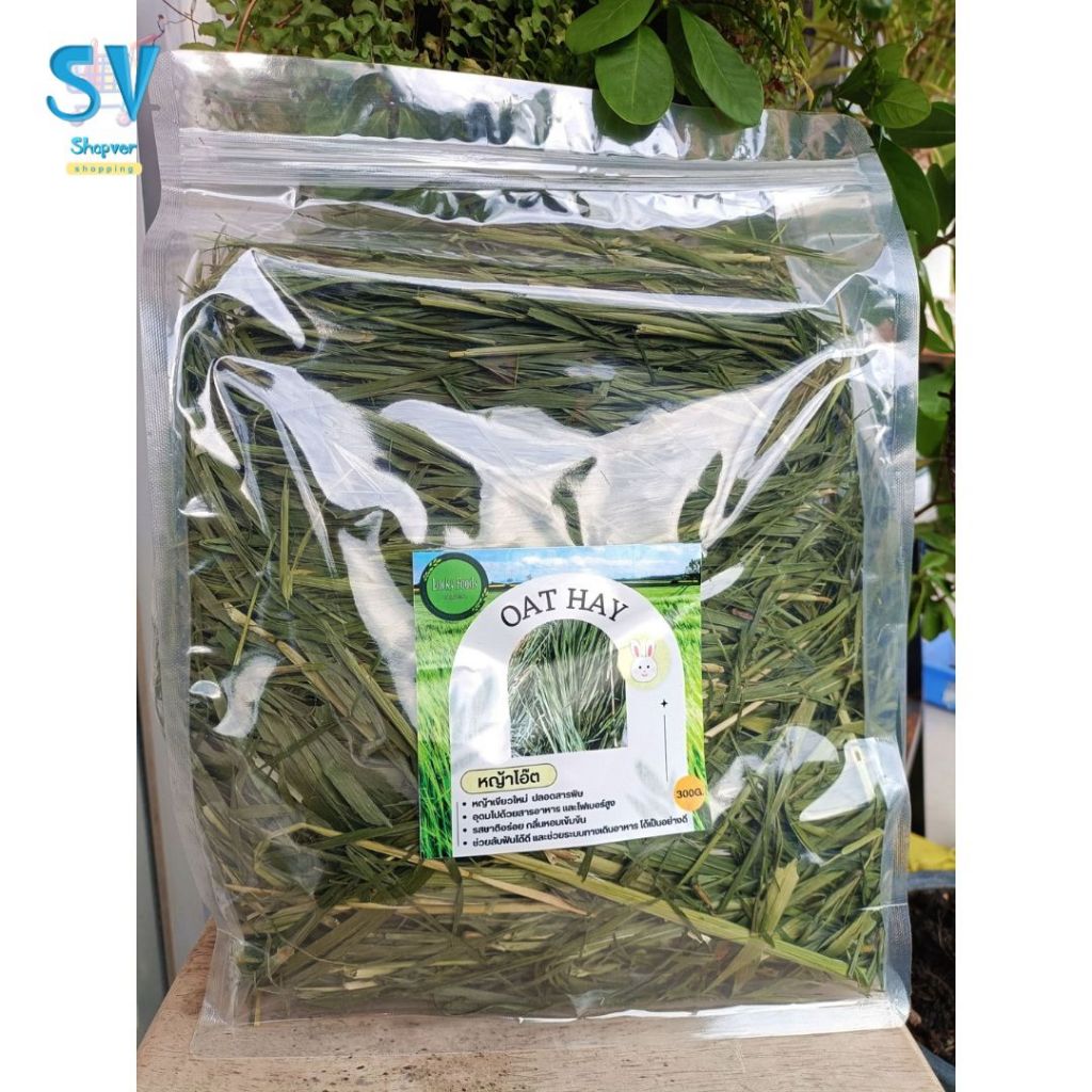 Golden oat hay หญ้าโอ๊ตอบลมร้อน สำหรับสัตว์ฟันแทะ กระต่าย แกสบี้ ชินชิลล่า แพรี่ด็อก