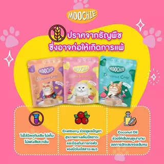 ยกโหล12ซอง Moochie Catมูชี่ อาหารเปียกแมวเพื่อสุขภาพ ไม่เติมเกลือ มูชี่แมว