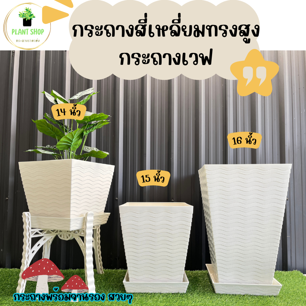 กระถางสี่เหลี่ยมทรงสูง กระถางเวฟ สีขาว ขนาด 14 นิ้ว 15 นิ้ว 16 นิ้ว พร้อมจานรอง เนื้อหนา แข็งแรงมาก