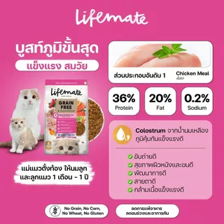 (1.2กิโล) Lifemate อาหารแมว เกรดHolistic บำรุงผิวหนังและเส้นขน ไม่หลุดร่วง เสริมProbiotics Omega3,6