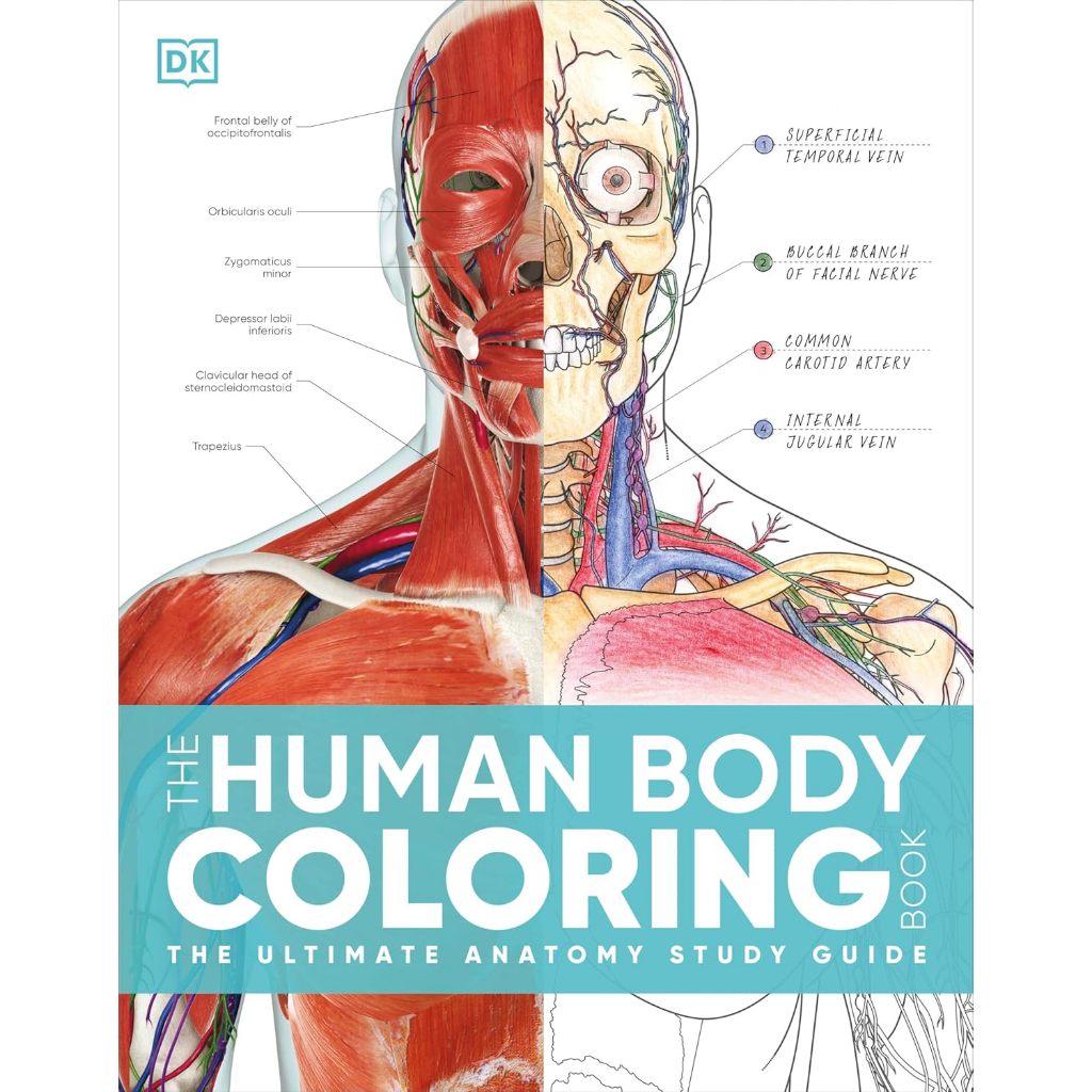 (ภาษาอังกฤษ) THE HUMAN BODY COLORING BOOK: THE ULTIMATE ANATOMY STUDY GUIDE 9780744098679