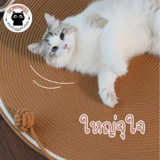 🌵 เสื่อหูแมว พรมลับเล็บแมว เสื่อวงกลม เสื่อหูแมว แผ่นฝนเล็บแมว แผ่นลับเล็บแมว ที่ลับเล็บแมว แผ่นลับเล็บแมว 🌵