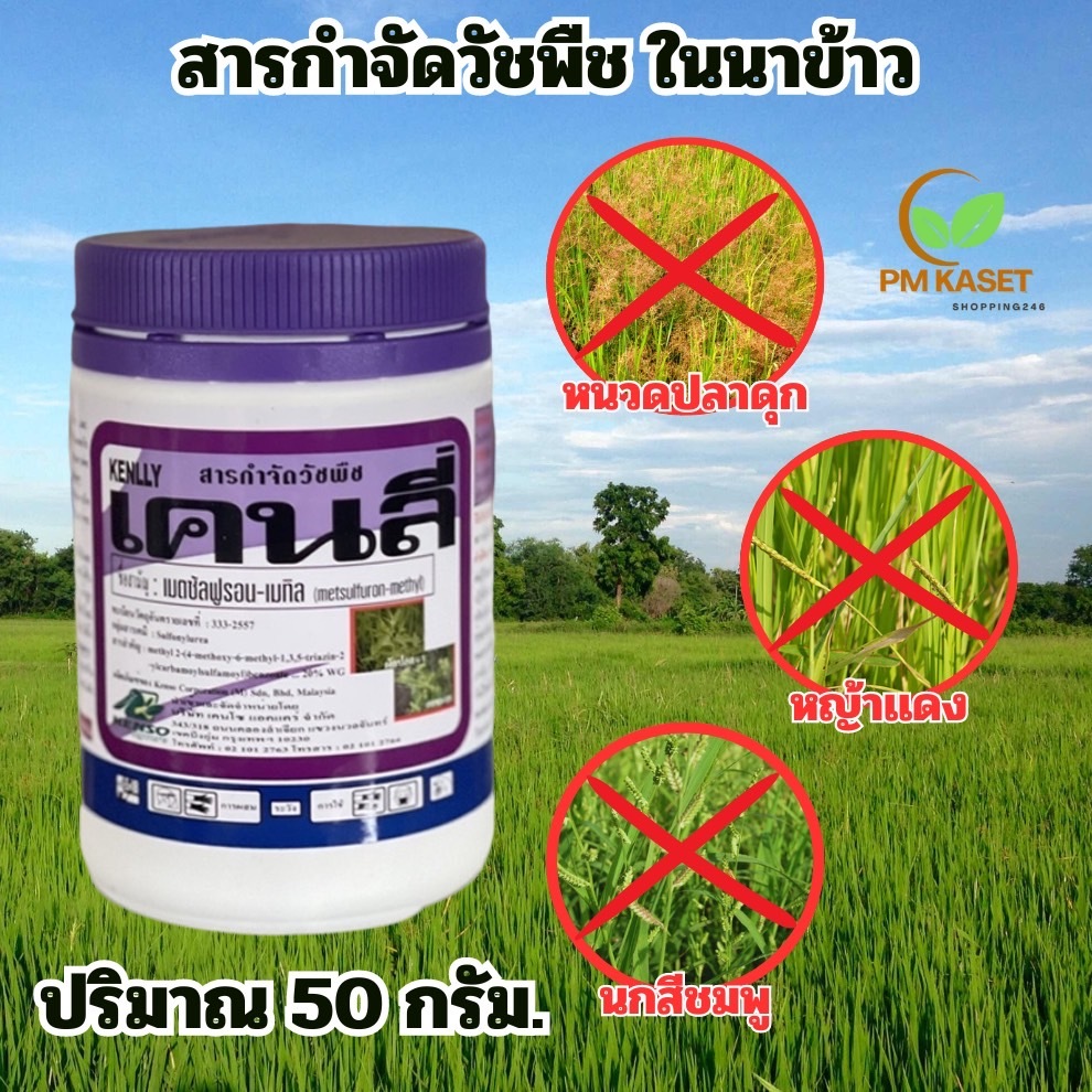 เคนลี่ เมตซัลฟูรอน-เมทิล สารกำจัดวัชพืช ฆ่าหญ้าใบกว้าง ยากำจัดวัชพืชในนาข้าว ปริมาณ 50 กรัม ของแท้