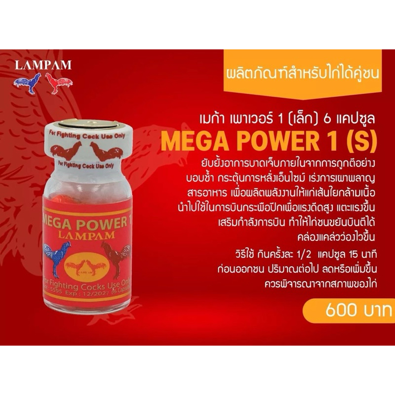 ลำปำ…อาหารสัตว์ปีกเมก้าเพาเวอร์1(เล็ก)