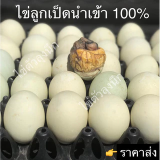 ไข่ลูกเป็ดเวียดนามแท้ 100%‼️🔥ราคา 89 บาท🔥
