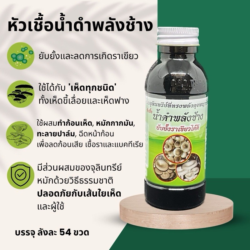 หัวเชื้อน้ำดำพลังช้าง สำหรับเห็ดทุกชนิด ทั้งเห็ดขี้เลื่อยและเห็ดฟาง