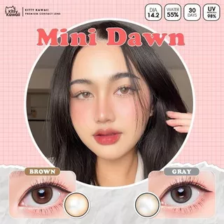 🔥คอนแทคเลนส์ ✨ขนาดมินิ✨ Mini Dawn (kittykawaii) 🎀สี : Brown / Gray / Light Brown